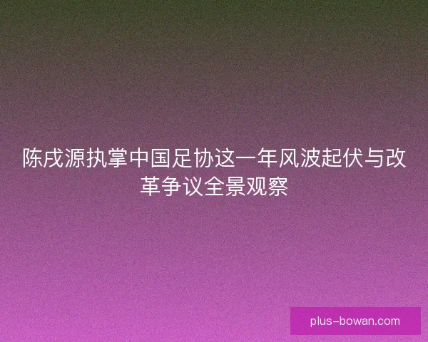 陈戌源执掌中国足协这一年风波起伏与改革争议全景观察