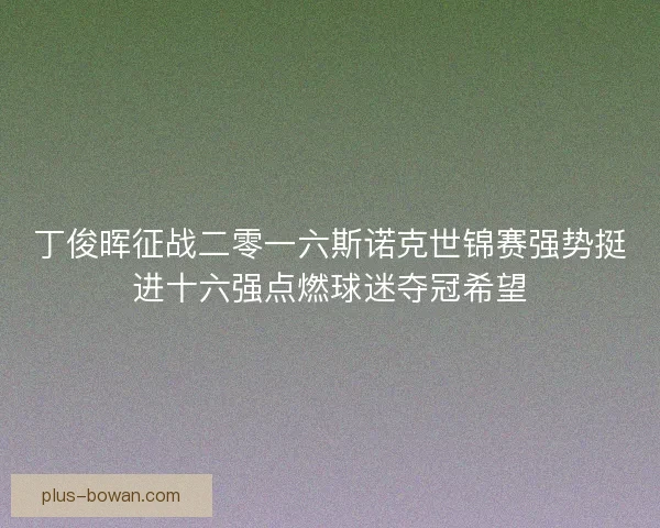 丁俊晖征战二零一六斯诺克世锦赛强势挺进十六强点燃球迷夺冠希望 丁俊晖征战二零一六斯诺克世锦赛强势挺进十六强点燃球迷夺冠希望